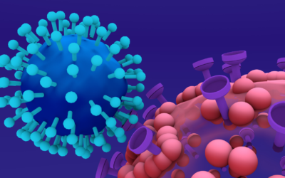 Curso: Desarrollo de nanosistemas para infecciones vaginales