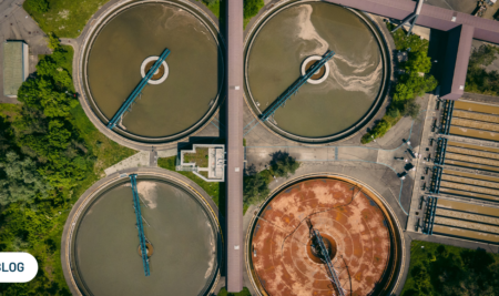 Tratamiento de efluentes usando microalgas