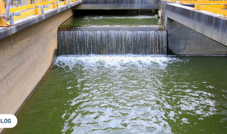 Tratamiento de Aguas Residuales mediante Microalgas: Un Enfoque Sostenible