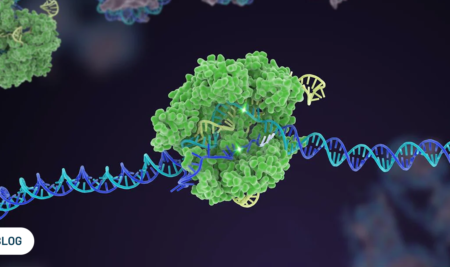 Terapia Genética CRISPR/Cas9 para Enfermedades Genéticas