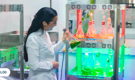 Descubriendo el Tesoro de los Ácidos Grasos Omega-3 en las Microalgas