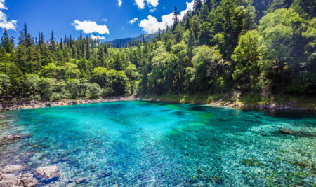 Tipos de Biorremediación: In Situ vs Ex Situ