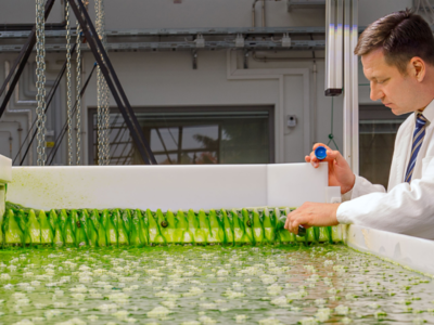 Especialización en Biotecnología de Algas