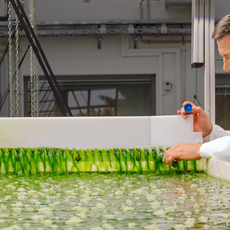 Especialización en Biotecnología de Algas