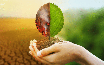 Especialización en Biotecnología Ambiental