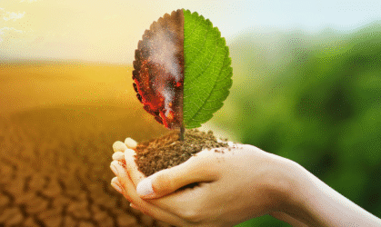 Especialización en Biotecnología Ambiental