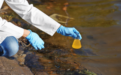 Curso: Introducción a la biorremediación ambiental