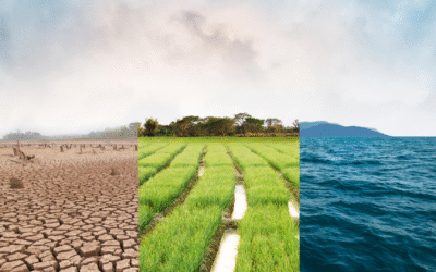 Curso: Introducción a la biorremediación ambiental