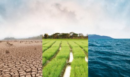 Curso: Introducción a la biorremediación ambiental