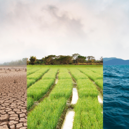 Curso: Introducción a la biorremediación ambiental
