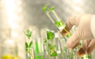 Curso: Fundamentos y Aplicaciones de la Ecotoxicología