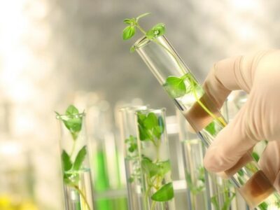 Curso: Fundamentos y Aplicaciones de la Ecotoxicología