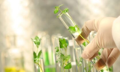 Curso: Fundamentos y Aplicaciones de la Ecotoxicología