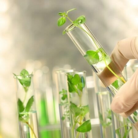 Curso: Fundamentos y Aplicaciones de la Ecotoxicología