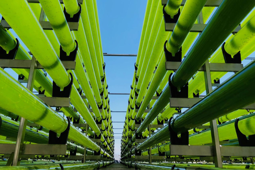 Diseño sin título-16 Diseño sin título-16