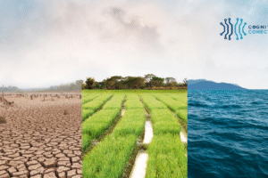 Qué es la biorremediación