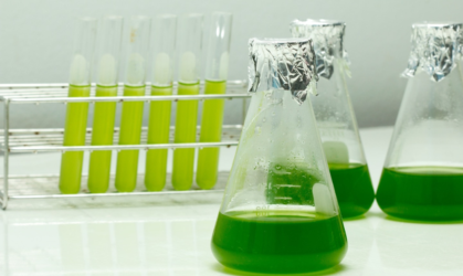 Curso: Biotecnología de Microalgas 2.0 (Preventa)