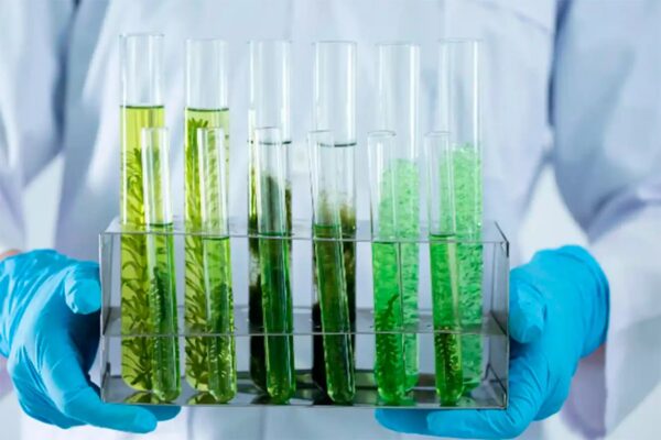 WhatsApp Image 2026-02-04 at 18.00.39