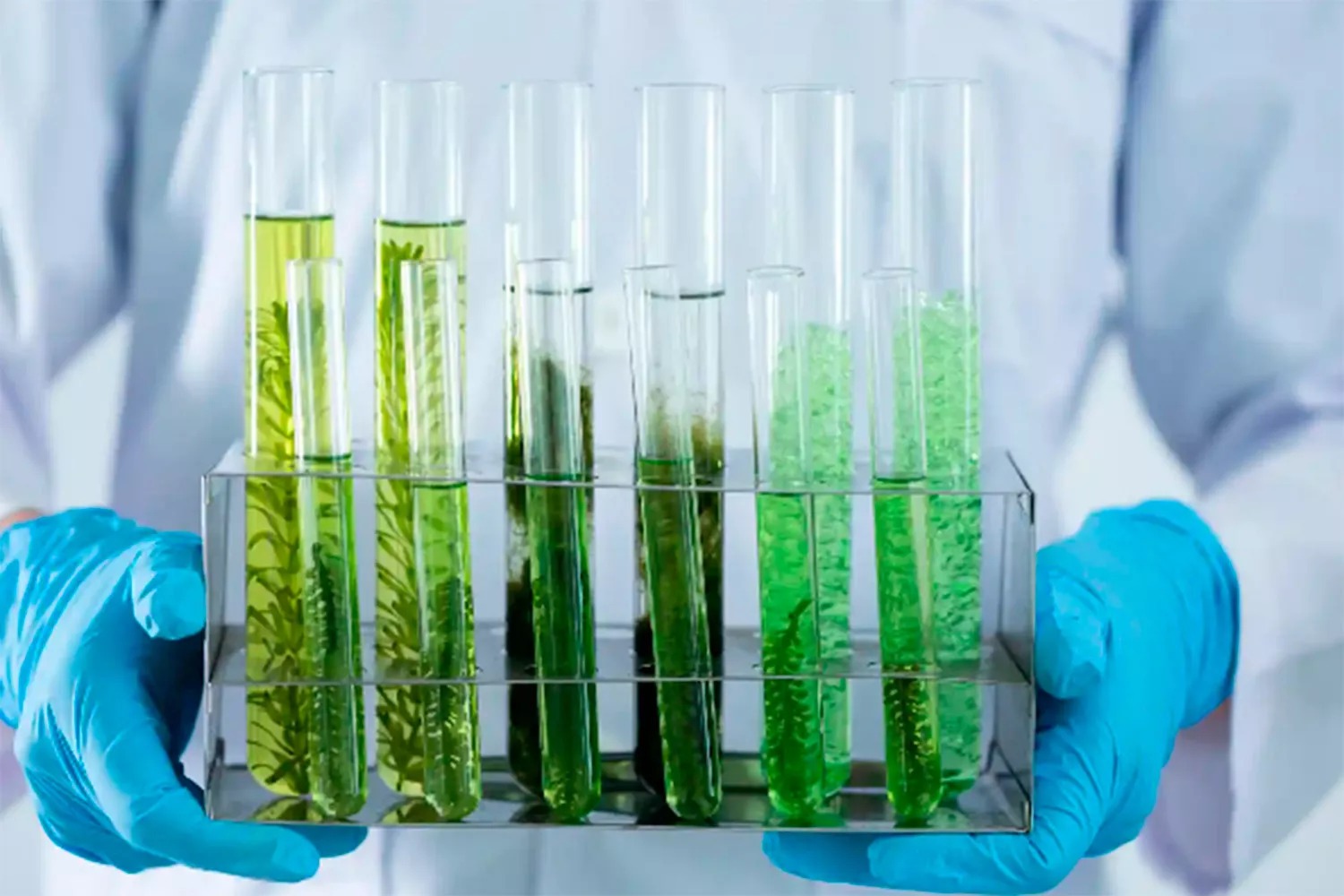 WhatsApp Image 2026-02-04 at 18.00.39