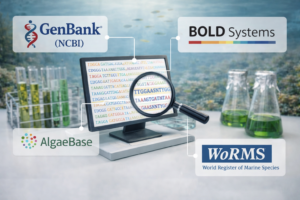 ChatGPT Image 30 mar 2026, 08_42_06 a.m.