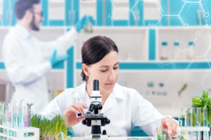 Diseño sin título-30