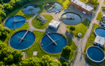 Curso: Biorremediación en Ambientes Acuáticos y Aguas Residuales