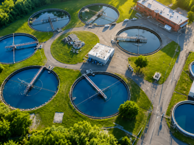 Curso: Biorremediación en Ambientes Acuáticos y Aguas Residuales