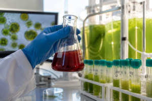 Microalgas y Astaxantina
