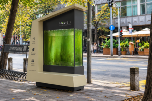 Un árbol de microalgas
